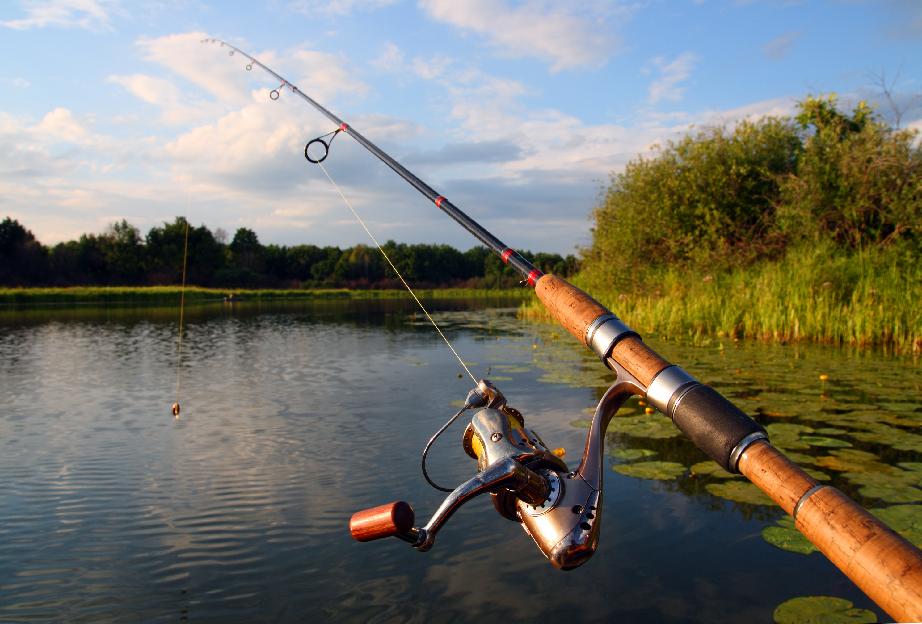 Sea fishing competition along the shoreline