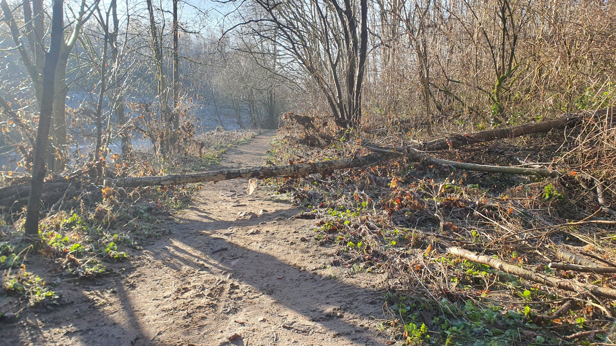 Flooded trail