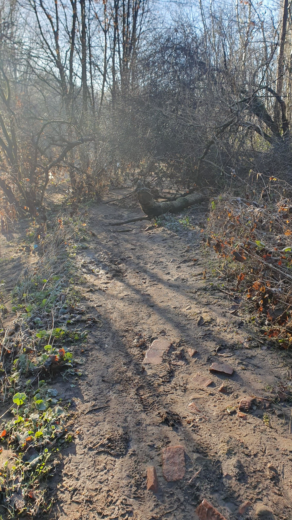 Trail near river