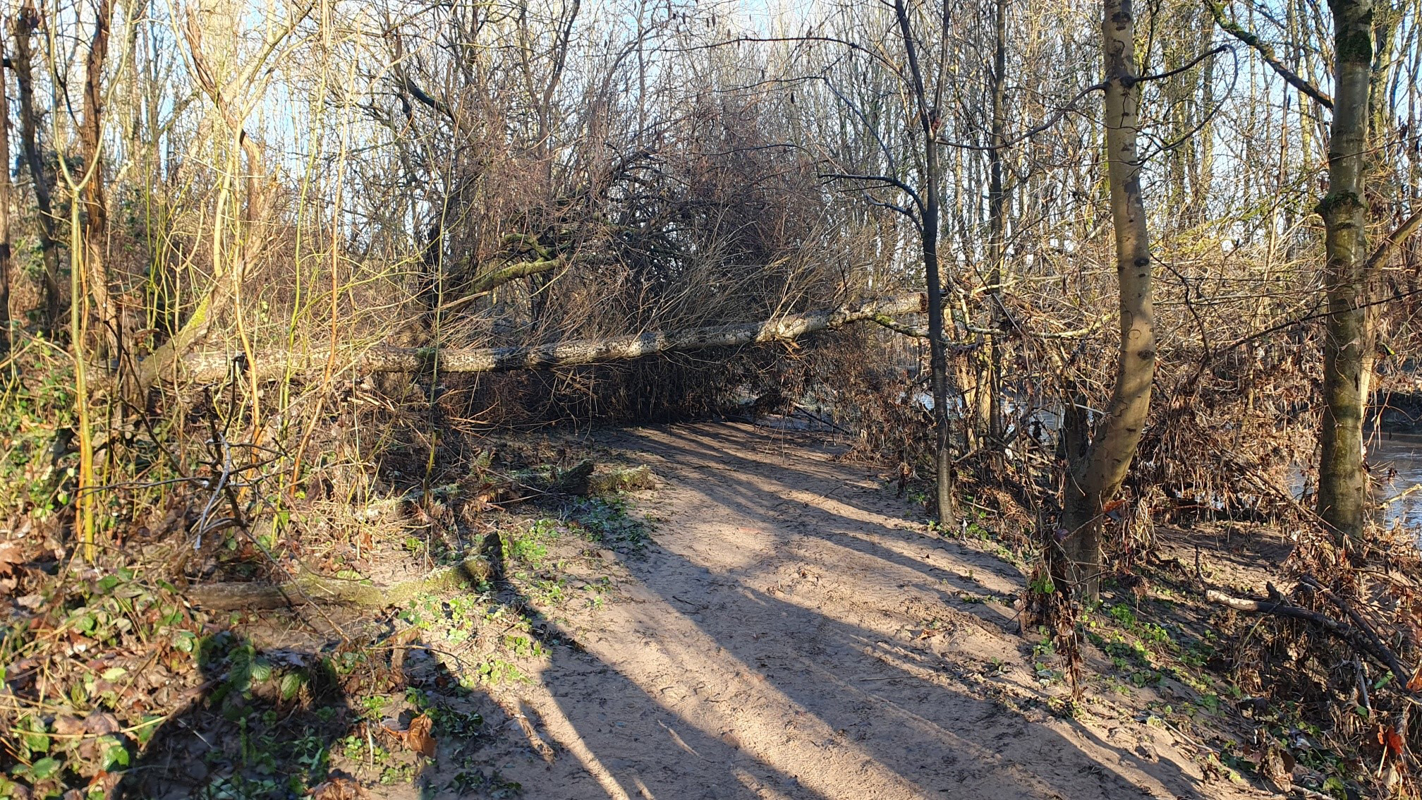 Another view of trail near river