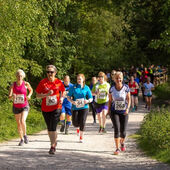 cannock-chase-10-5-website-resized-3