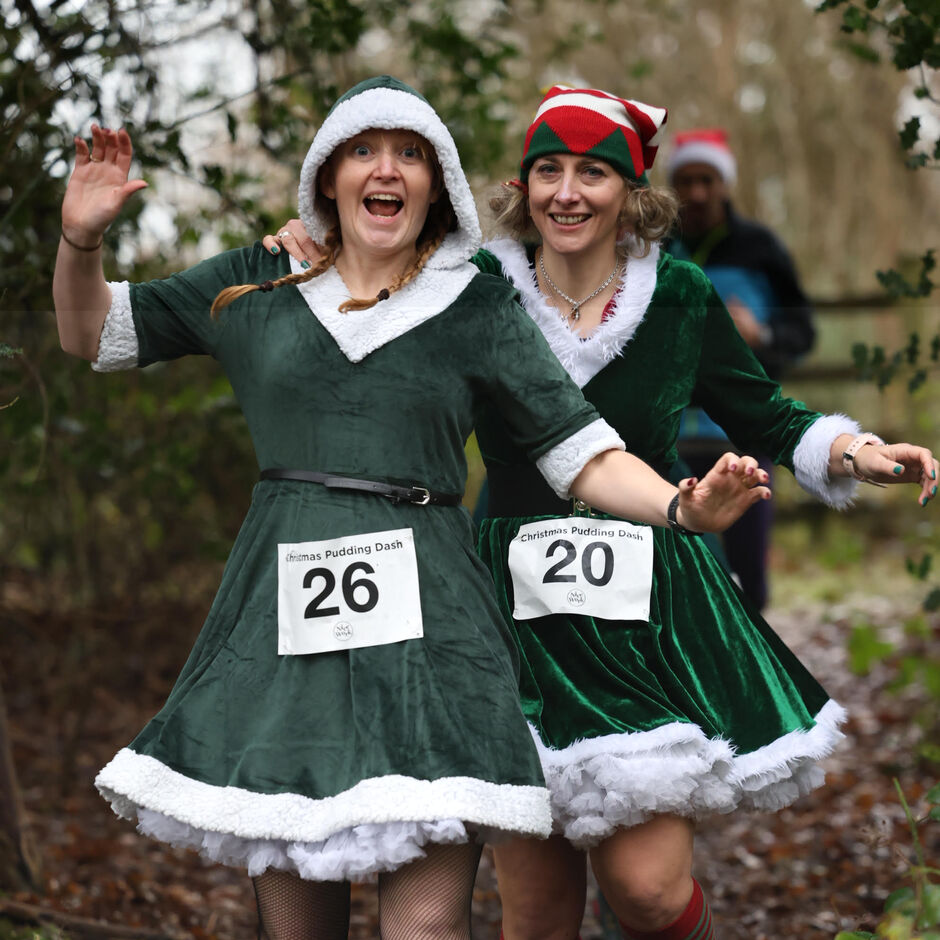 christmas-pudding-dash-pett-2024-1-rs