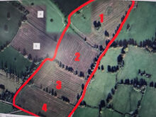 field
